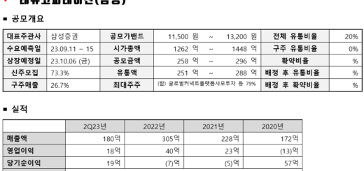 레뷰코퍼레이션 공모주